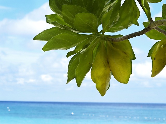 태국-푸켓-여행-추천