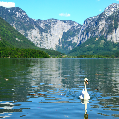 오스트리아 여행하기 좋은 계절