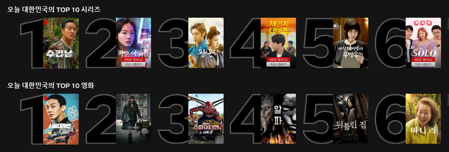 넷플릭스 TOP10 이미지