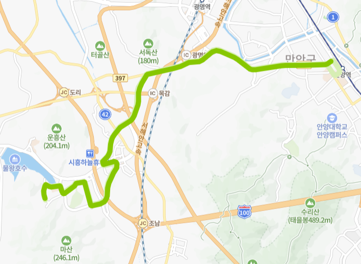 시흥-안양-81번-버스-노선-지도