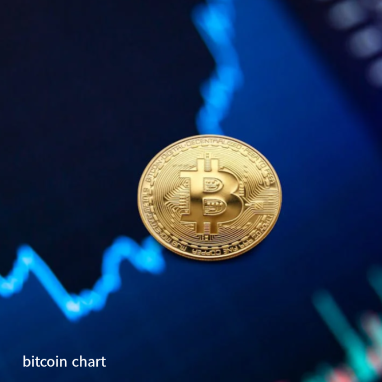 비트코인 반감기 차트