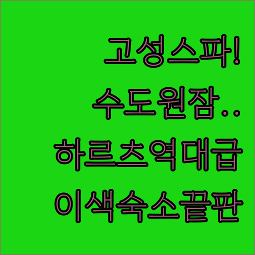 고성에서 스파 즐기고 수도원에서 잠들..