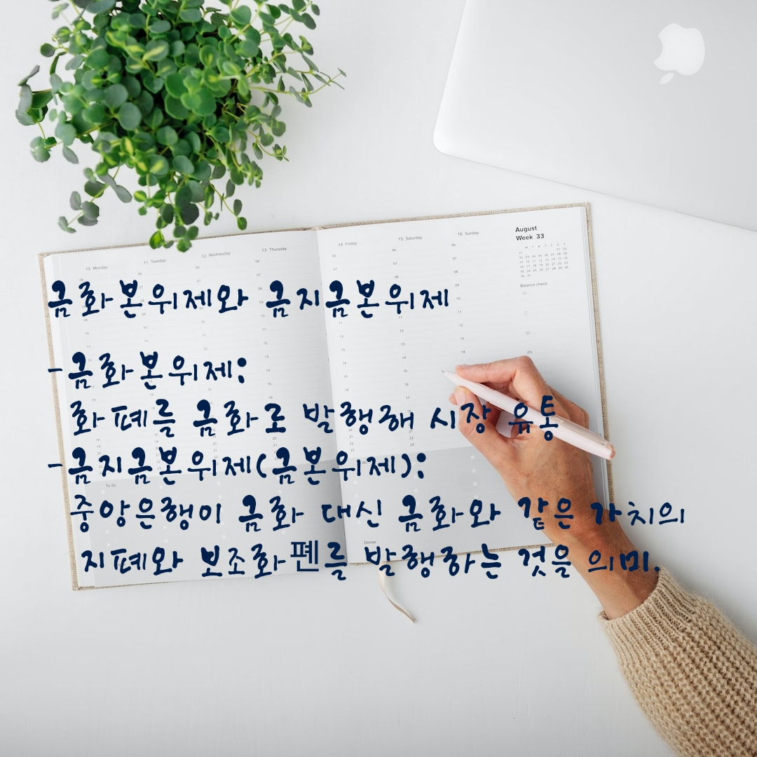 "금본위제와 금지금본위제, 화폐 가치의 기준을 설명한 기록"