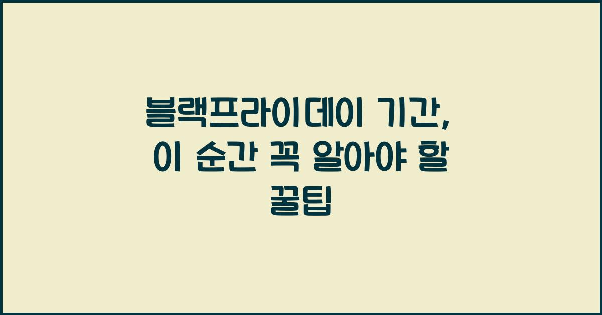 블랙프라이데이 기간