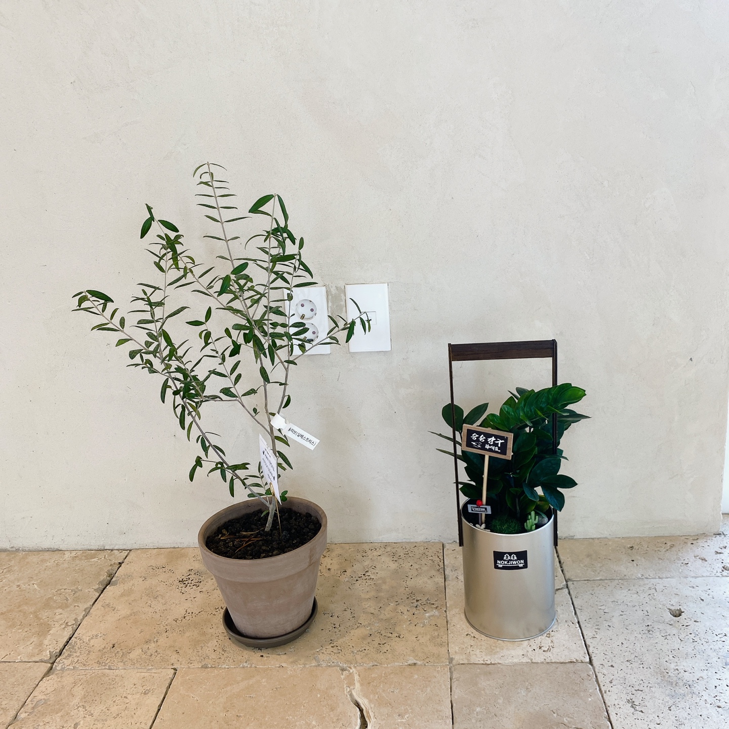 제주 서귀포 남원 휴애리 카페 우미 woomee