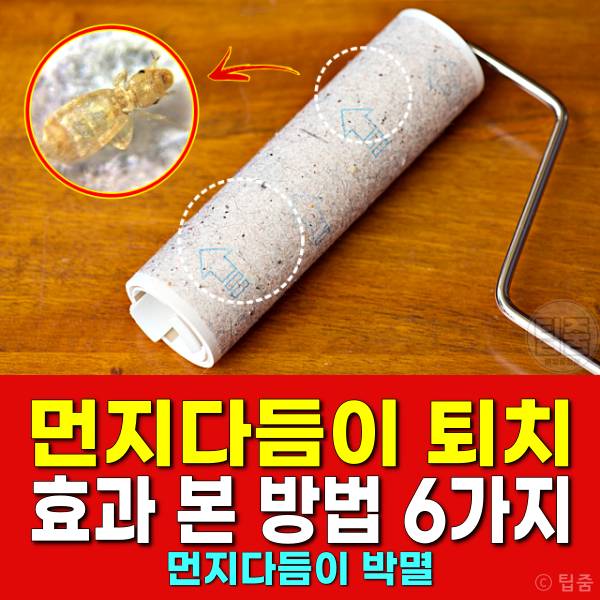 먼지다듬이 퇴치 살충제 먼지다듬이박멸