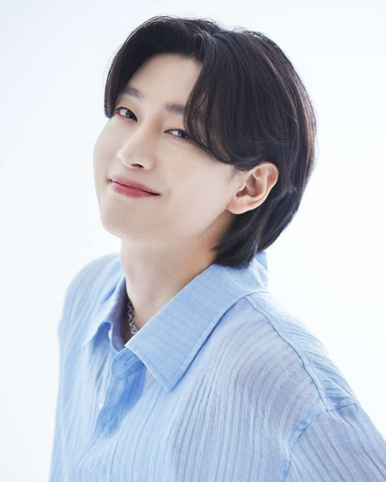 미스터트롯3 콘서트 관련 이미지