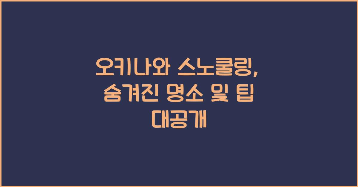 오키나와 스노쿨링