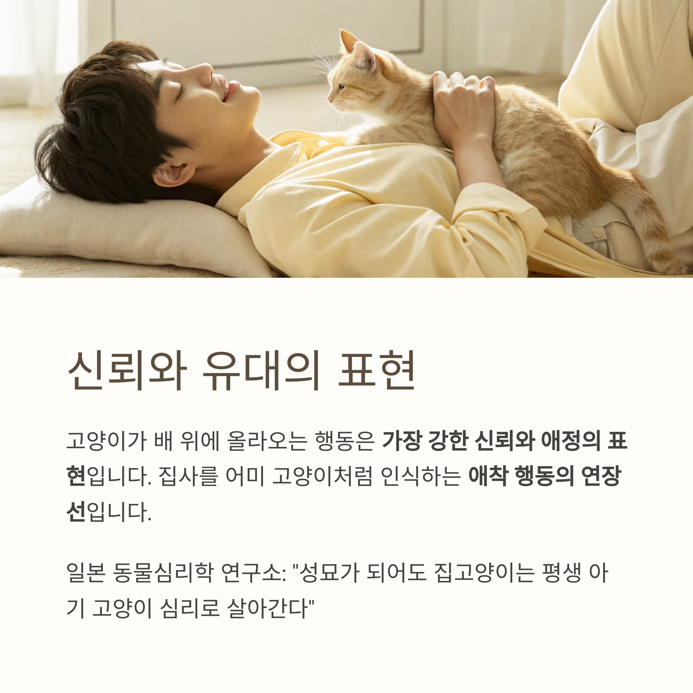 신뢰와 유대의 표현