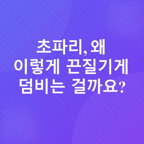 초파리퇴치_1