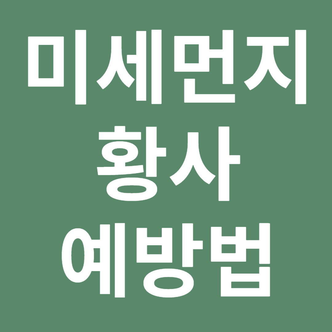 미세먼지 황사 예방법