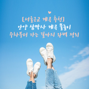 안양 삼막사 계곡 내용