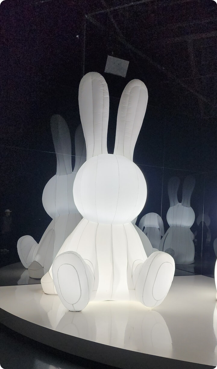 바람 들어간 흰 토끼 모양