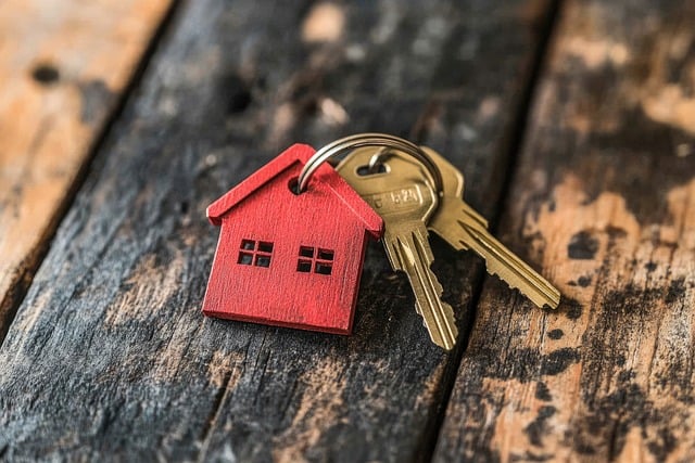 재건축 세입자 보상금