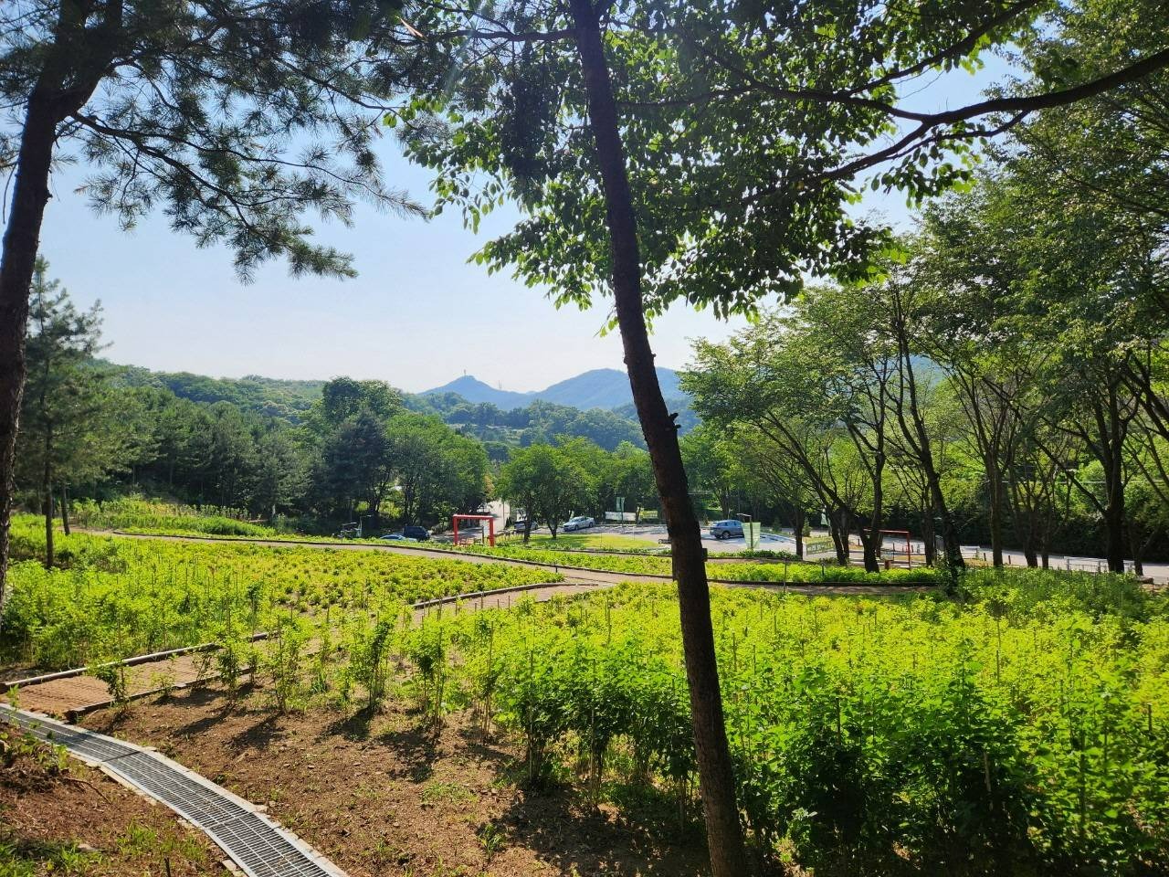 의정부 자일산림욕장