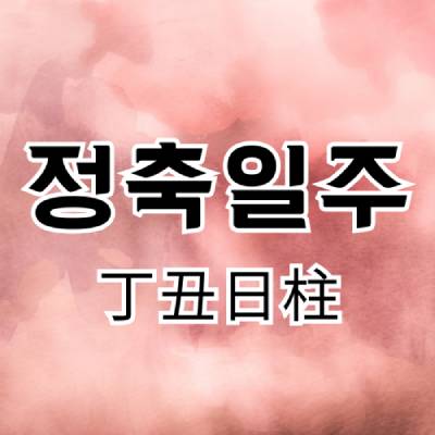 정축일주(丁丑日柱)