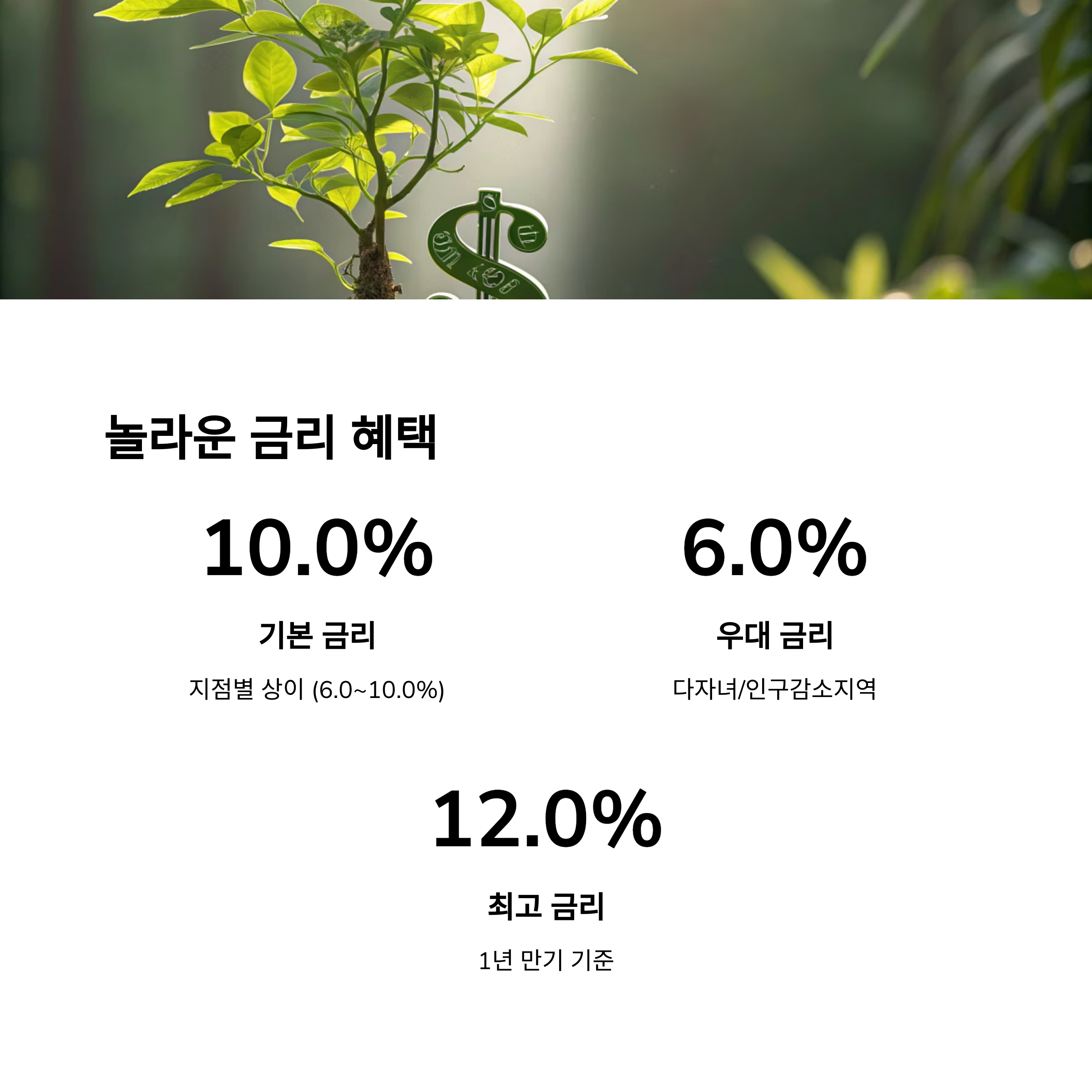 금리 및 만기 조건