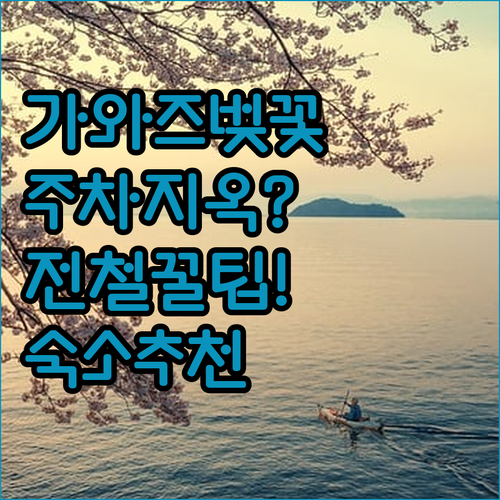 가와즈 벚꽃 축제 주차 정보 대신 전..