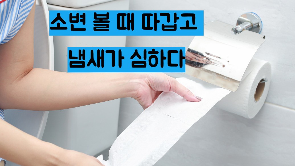 신우신염 증상