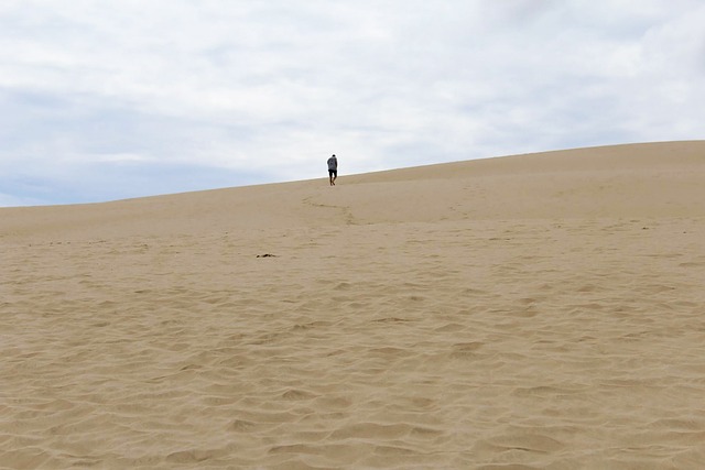 뉴질랜드 케이프 레잉가 모래 언덕을 혼자 올라가는 사람의 이미지