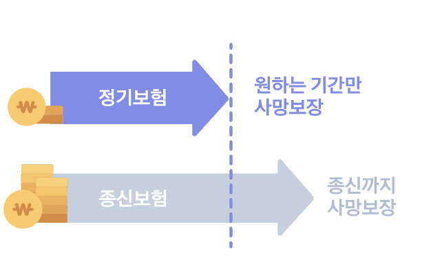 한화생명 e정기보험 무배당: 만기환급형과 순수보장형의 차이점과 선택 가이드