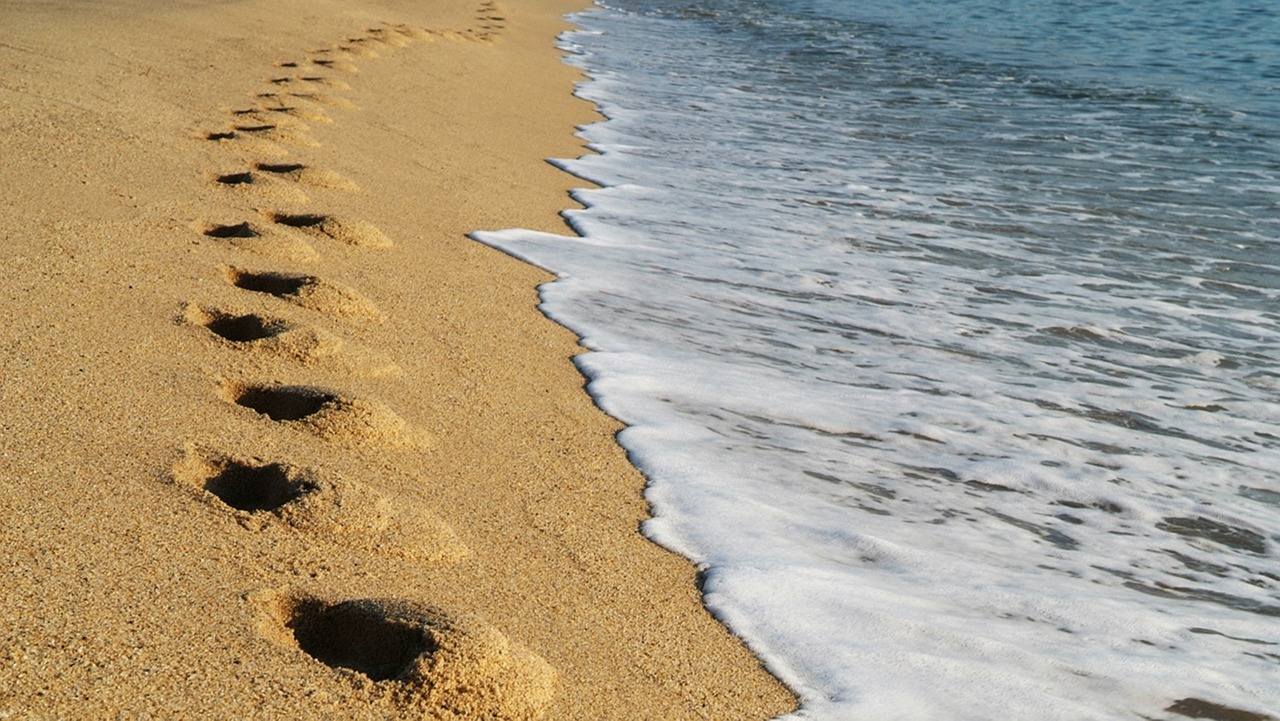 강릉 펜션예약 가이드｜성수기에도 알뜰하게 즐기는 법