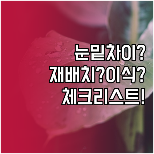 눈밑지방 재배치와 지방이식 차이점 및..