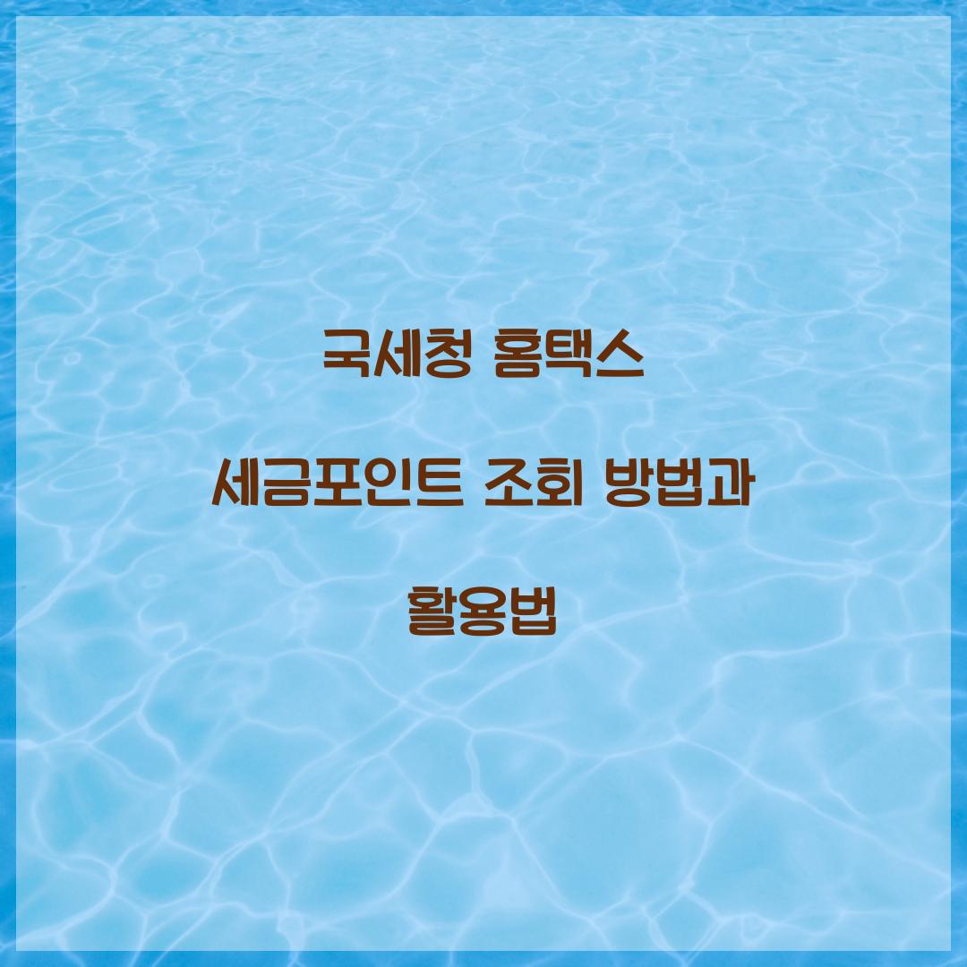 국세청 홈택스 세금포인트 조회