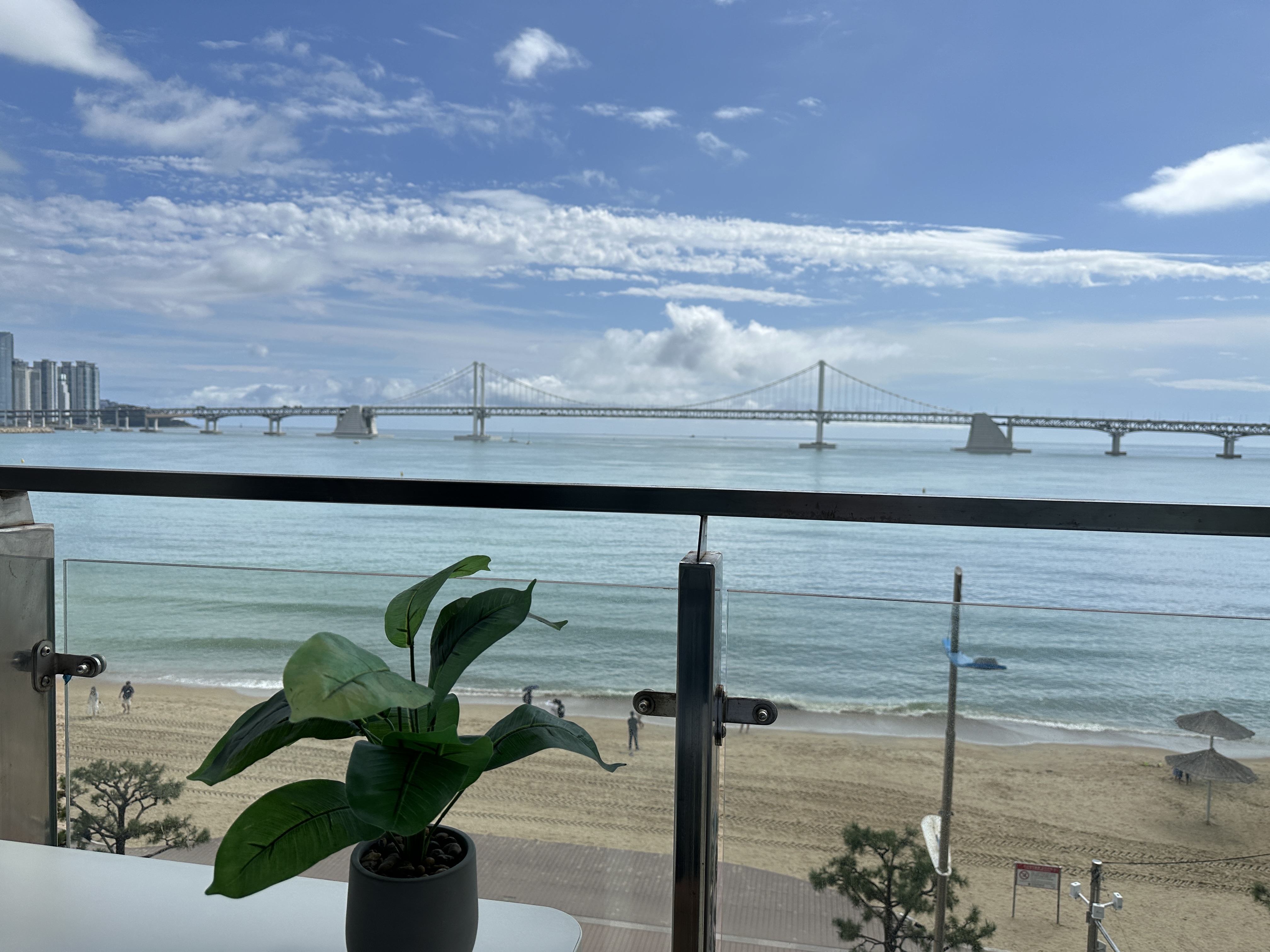 화창한 광안리