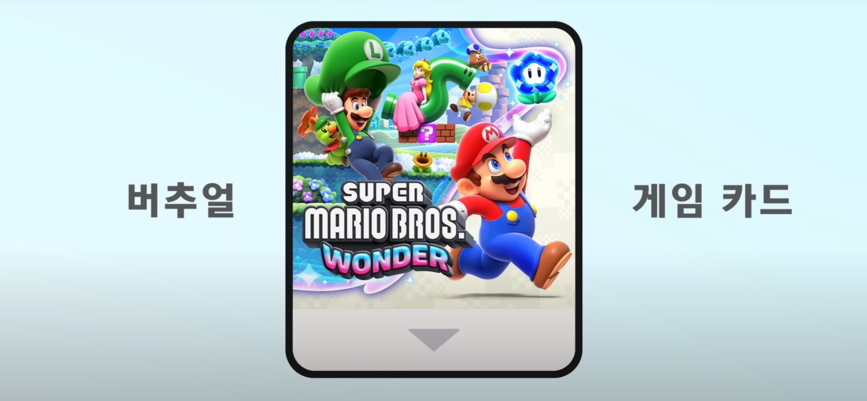 닌텐도 스위치 ‘버추얼 게임 카드’ 완전정리