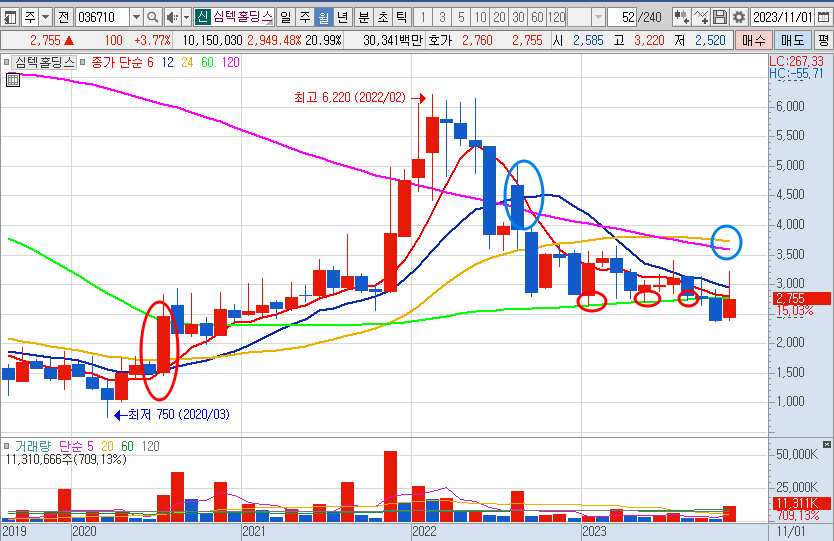 심텍홀딩스 월봉 차트 (23.11.24)