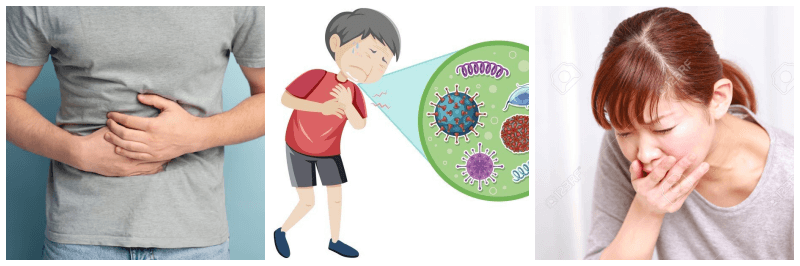 노로 바이러스 관련 사진 3개