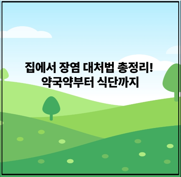 장염초기 집에서 장염 대처법 총정리! 약국약부터 식단까지