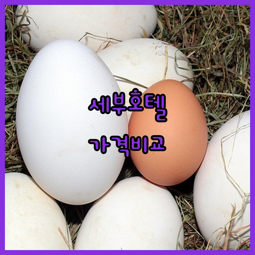 세부 호텔 추천 가이드 퀘스트 호텔,