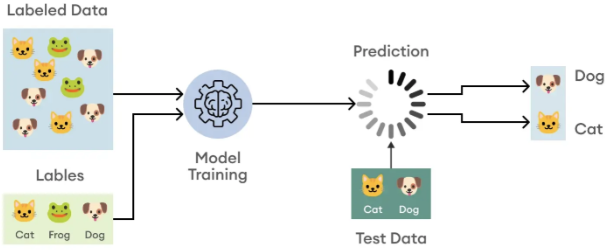 Mediapipe Image Classification