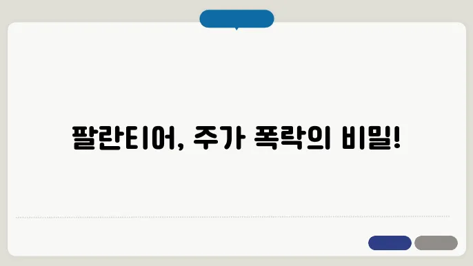 팔란티어 주가 급락! 하락 원인쿃 대응 전략