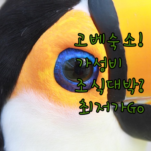 고베 가성비 숙소 베스트 5 위치와 ..