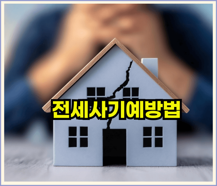 사회초년생전세사기예방법