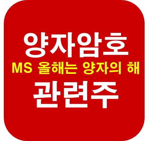 양자암호-관련주-MS