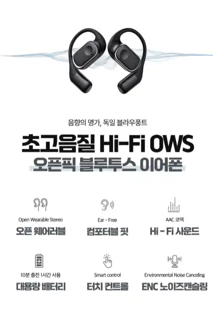 블라우풍트 무선 이어폰 - 찐 후기 (장단점 다 알려 드림!!!) - 100주년 에디션의 특별함