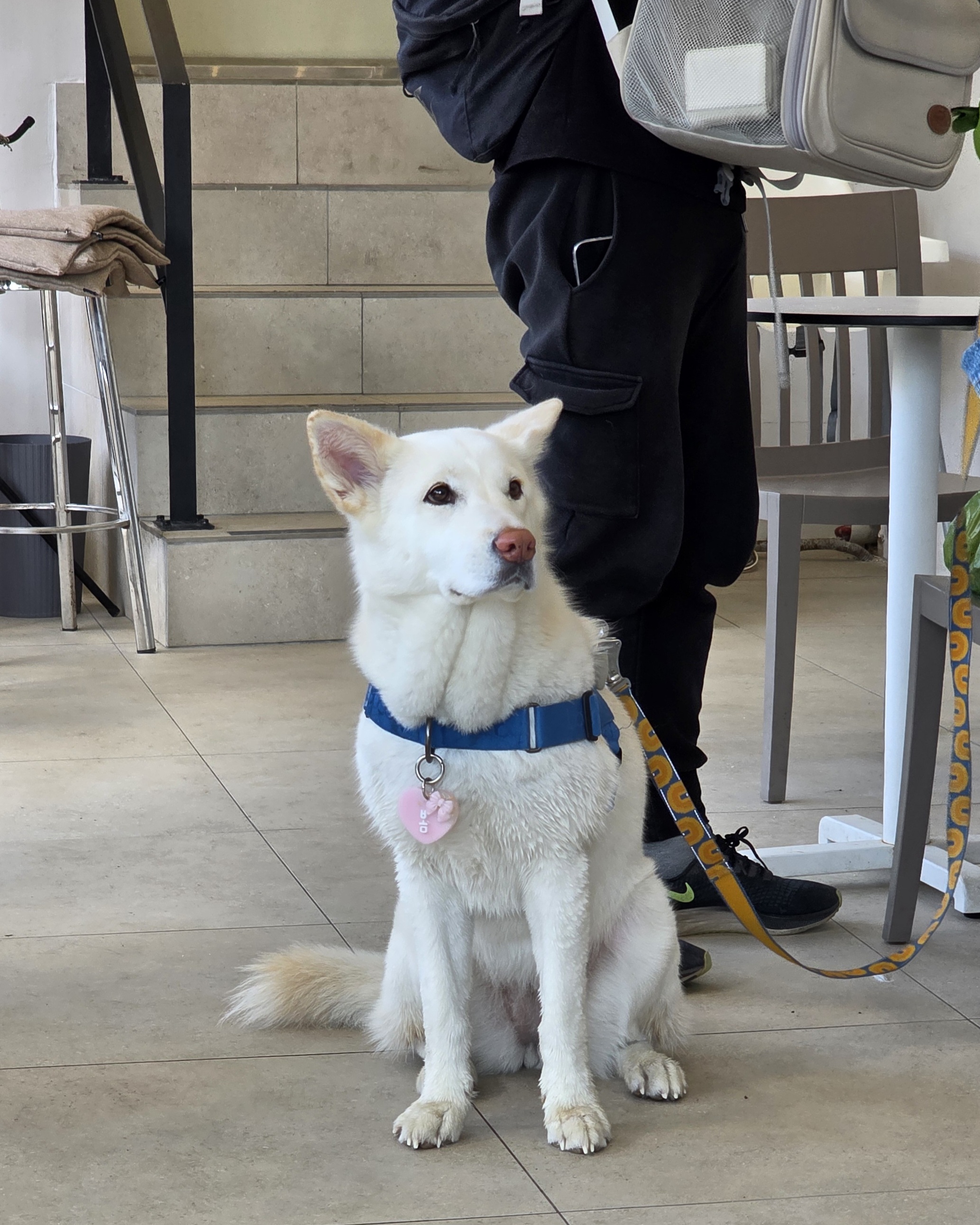 속초해수욕장 카페