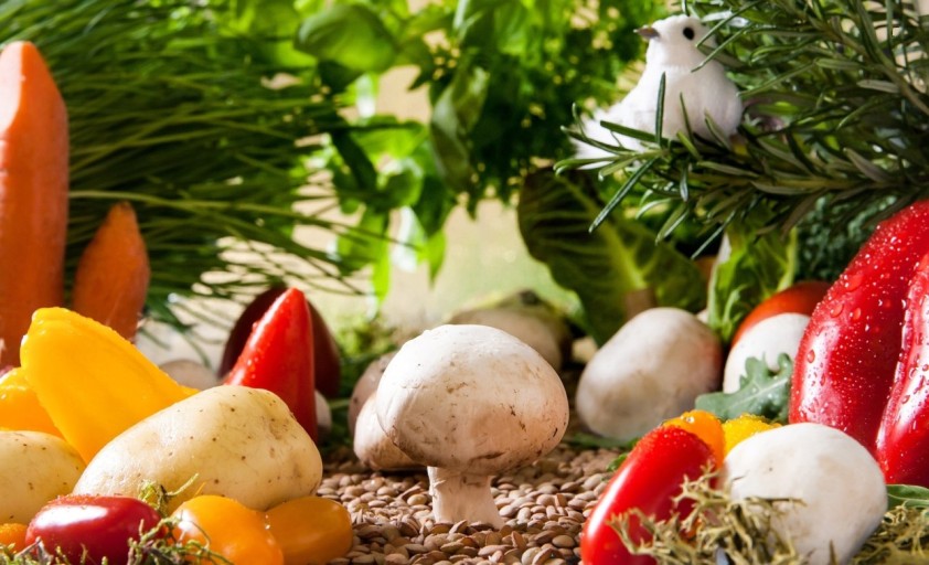 면역력을 쉽게 높이는 방법