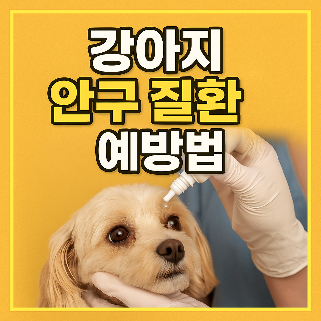강아지 안구 질환 예방법
