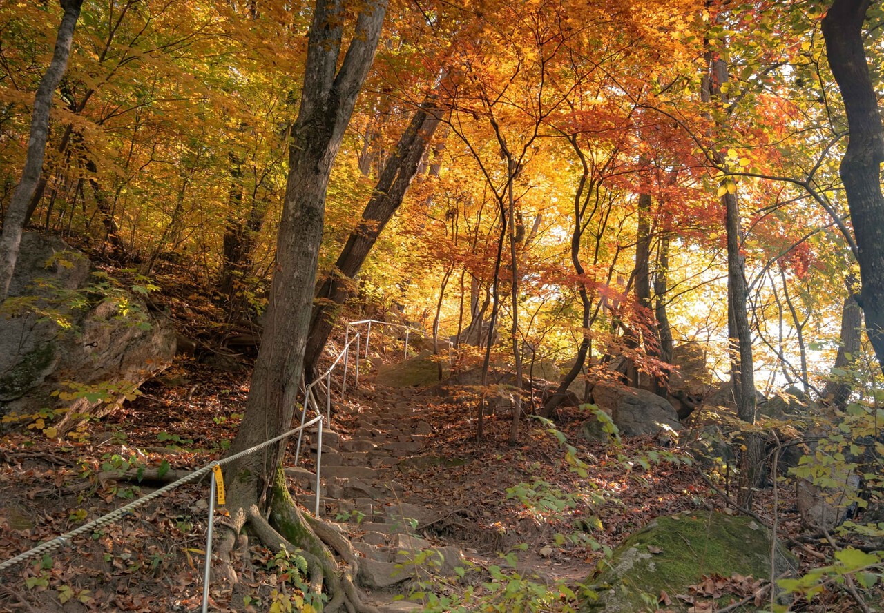 용화산 단풍 관련 사진첨부