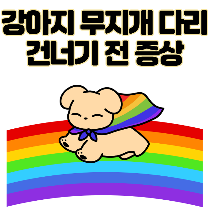 강아지가 보내는 마지막 신호, 무지개다리 건너기 전 증상과 대처법