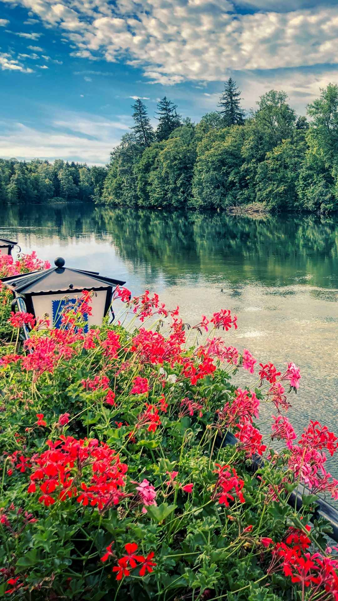 Flower wallpaper