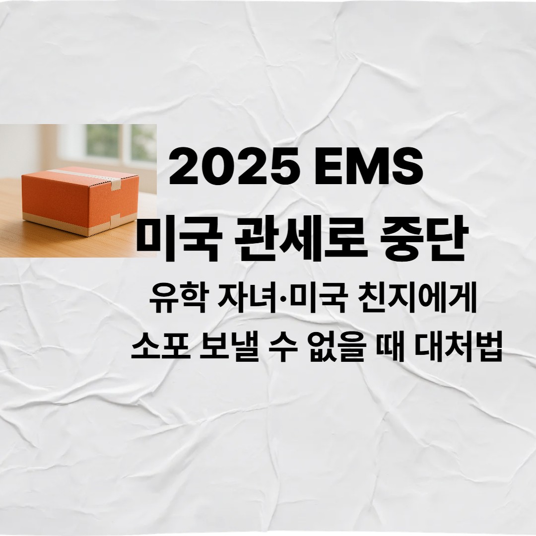 2025 EMS 미국 관세로 중단(+ 유학 자녀·미국 친지에게 소포 보낼 수 없을 때 대처법)