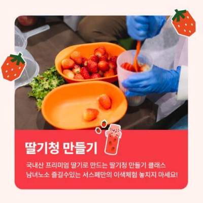 서울스트로베리페스타_딸기청만들기