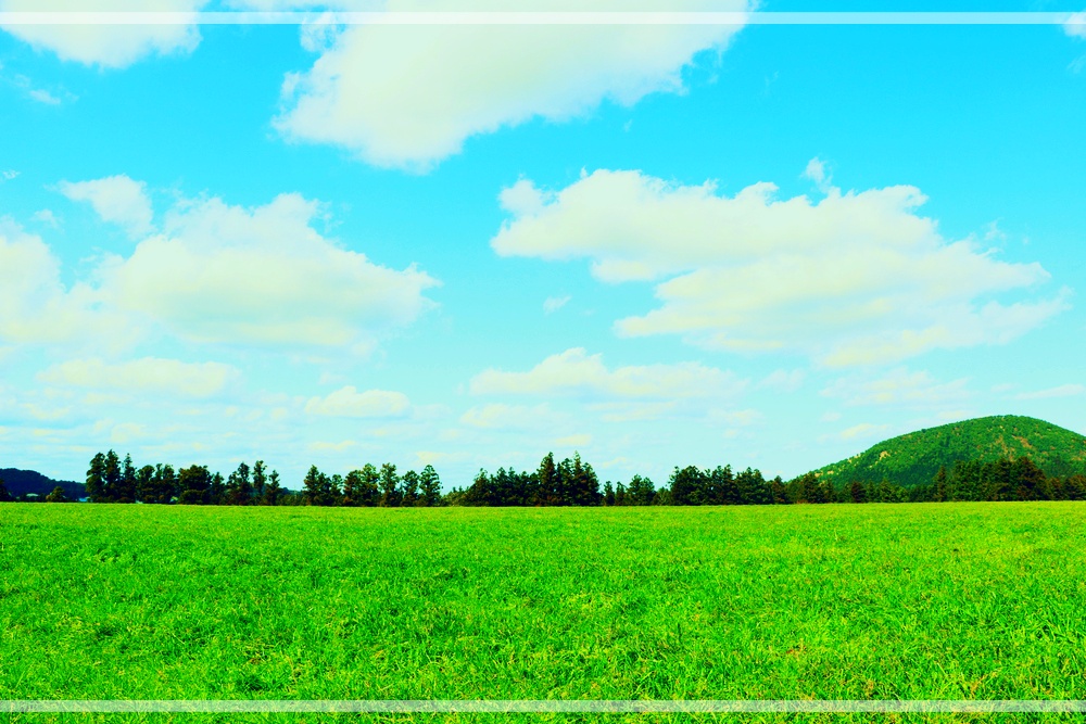 사진-편집-프로그램