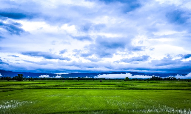 농지취득자격증명 요건